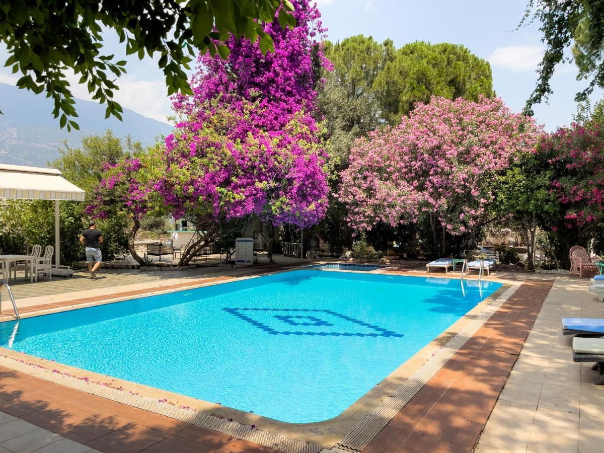 Akrapol Boutique Hotel คาช ภายนอก รูปภาพ